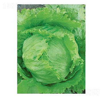 ���˷N��-̫��(l��)�N�I(y��)