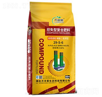 �����������������Ϳ�ʧ�͏�(f��)�Ϸ���29-5-6-�f(w��n)�S�R-�Dؐ