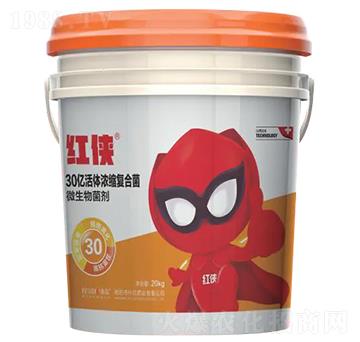 �t�b-�ޏͰ�Y(ji��)�}�n������-�����ʘI(y��)