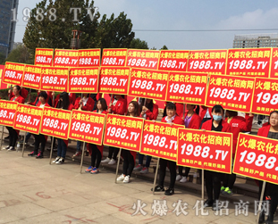 2016ɽ�|ֲ����(hu��)��1988.TV�����»���