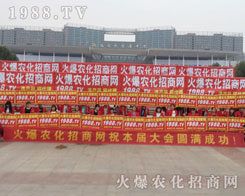 2016��(j��)��ֲ���p����(hu��)��1988.TV����(zh��ng)��