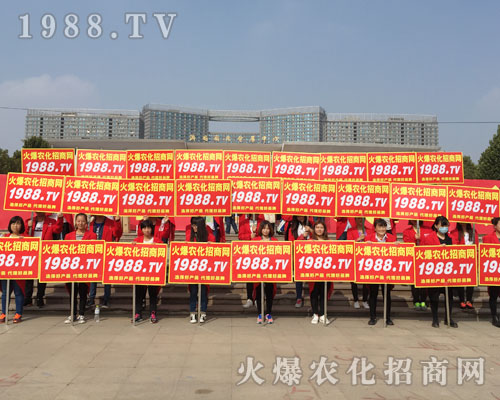 �r(n��ng)����Ӣ��2016ɽ�|ֲ�����ו�(hu��)ȫ��ƴ����