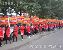 2016ɽ�|ֲ�����ו���1988.TV������