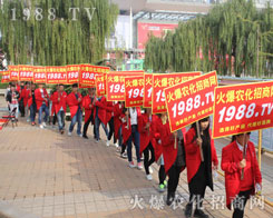 2016ɽ�|ֲ�����ו���1988.TVȫ���Ը���������