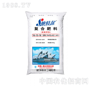 �����S-���ؠ�����⛏ͺϷ�