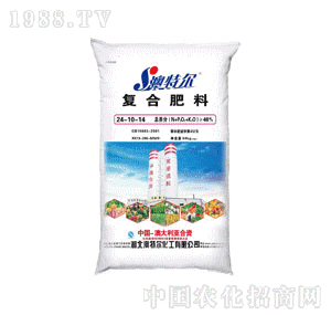 �����S-���ؠ������ͺϷ�24-10-14