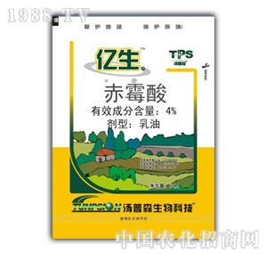 ����ɭ-�|��