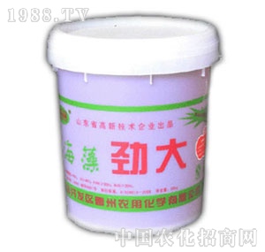 �����r(n��ng)��-����Ŵ�