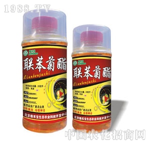 ���G�̌�-(li��n)������