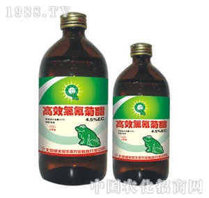 ���G�̌�-�������