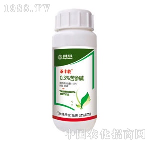 ���G�̌�-���S��