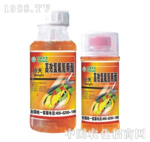 ���G�̌�-��������