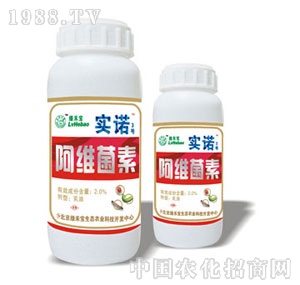 ���G�̌�-��(sh��)�Z3̖