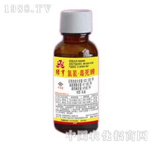 �G��-���趾����