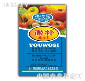 ��(y��u)��ʩ΢�a6+1