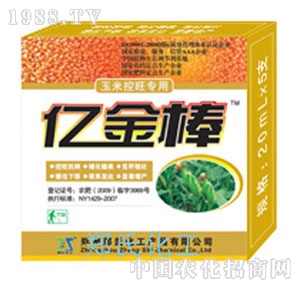 �|������׿�������