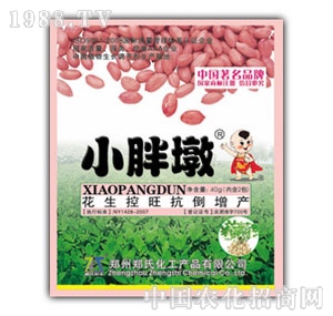 С�ֶջ�������