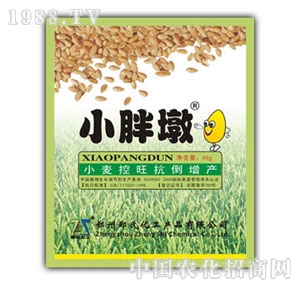 С�ֶ�С������