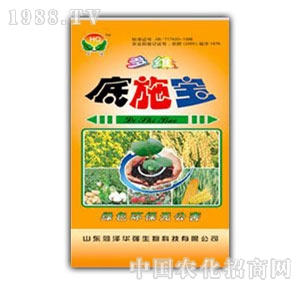 ���A��(qi��ng)-��ʩ��