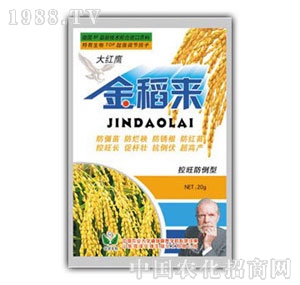 ���A��-�𵾁�