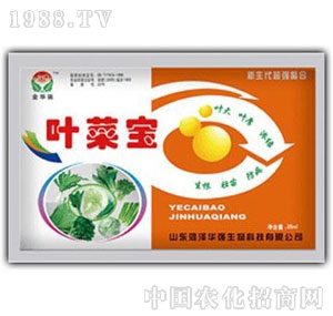 ���A��-�~�ˌ�