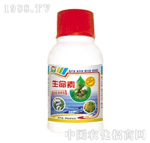 ���A��-������