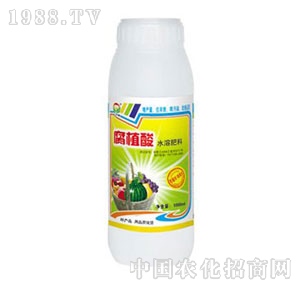 ���A��-���A����ֲ��