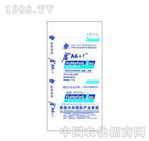 ����-Ԋ����A6+1���䱶�ѣ�