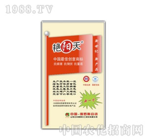 �t�հ���-��һ��384�I�B(y��ng)���G����(f��)�Ϸ�