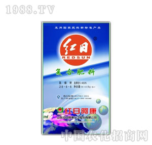 �t�հ���-�t��28-6-6��(f��)�Ϸ�