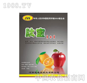 �~��˹-�Č�1+1