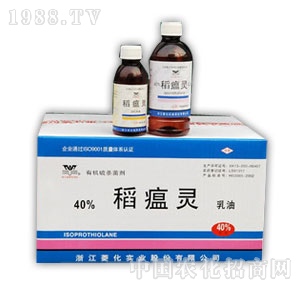 �⻯-30%��40%�����`����