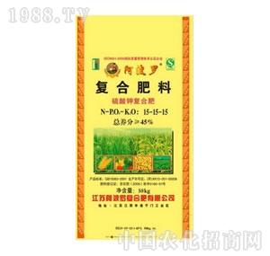 �����_-������͏ͺϷ�