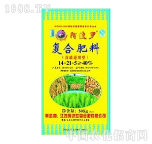 �����_-�����͏ͺϷ�