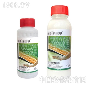 ����-�׻Ǯ���ݬȥ��