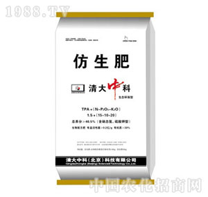 ����п�-�����ʏͺϷ���