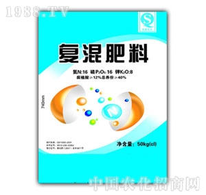 ����-��(f��)�����16-16-8