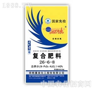 ����-�ͺϷ�