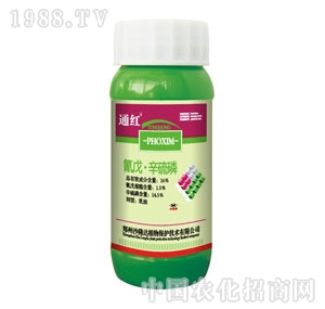 ����-����������