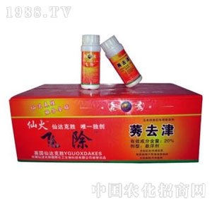 ����-�w��ݬȥ��