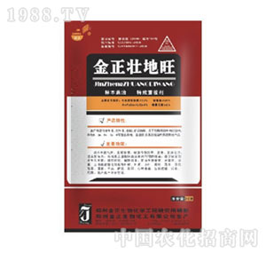 ����-�ѵ���20g