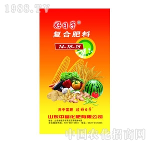 ������-�ͺϷ���