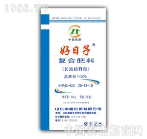 ������-50%�ͺϷ���