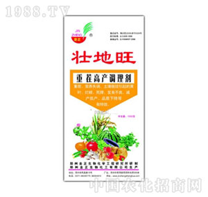 ����-�ѵ���1.5kg