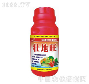 ����-�ѵ���300ml