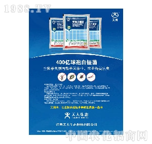 �������B(t��i)-400�|���߰׽���