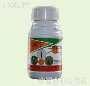 �̴T�S-ʭ����