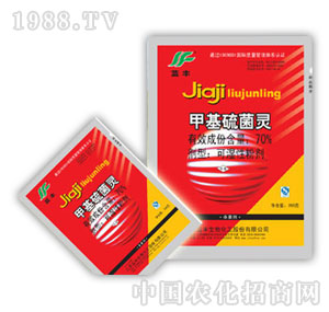 �{(l��n)�S����-70%�׻�����`