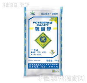 ���-���������