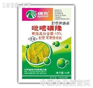 ���S����-���׻�¡